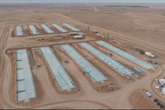 WhatsApp-Image-2025-12-29-at-19.47.14